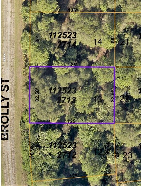 Brolly St., North Port, FL 34288