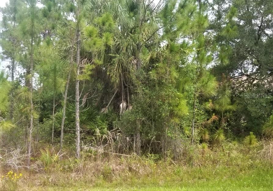 Lot # 9 Eagle Pass St., North Port, FL 34286