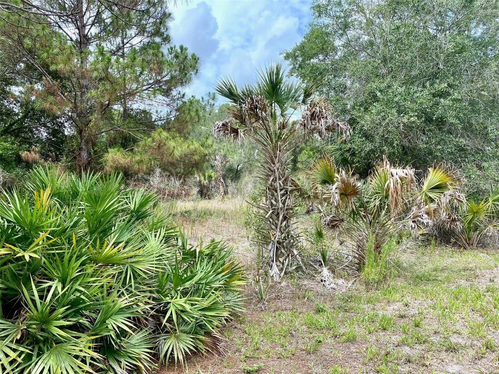 Janaro Rd., North Port, FL 34288