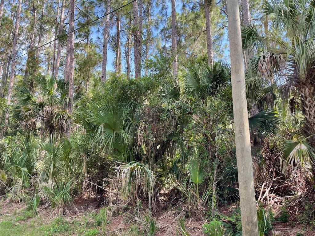 Hyannis Ave., North Port, FL 34286