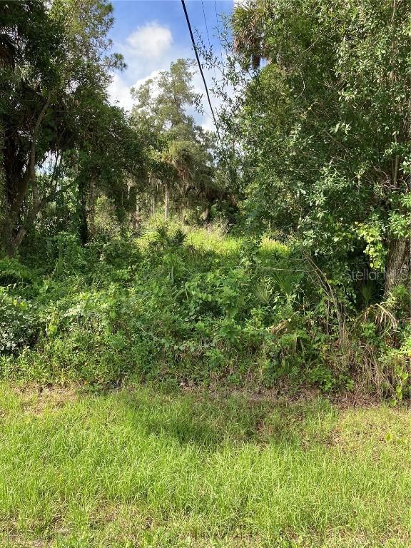 20409 Kinderkemac Ave., Port Charlotte, FL 33952