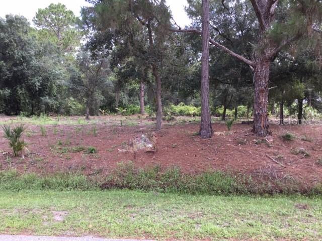 Kumquat Ave., North Port, FL 34291