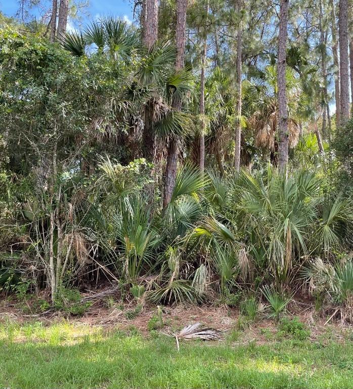 14042 Clarissa Ln., Port Charlotte, FL 33981