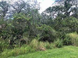 8779 SW Hampshire Ave., Arcadia, FL 34269