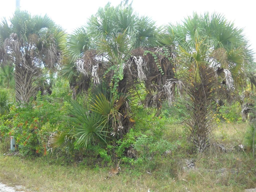 23178 Ameche Ave., Port Charlotte, FL 33980