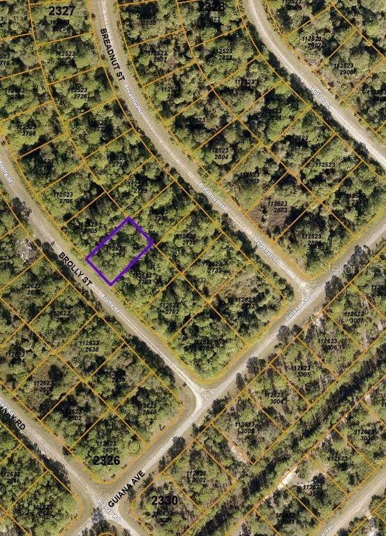 Brolly St., North Port, FL 34288