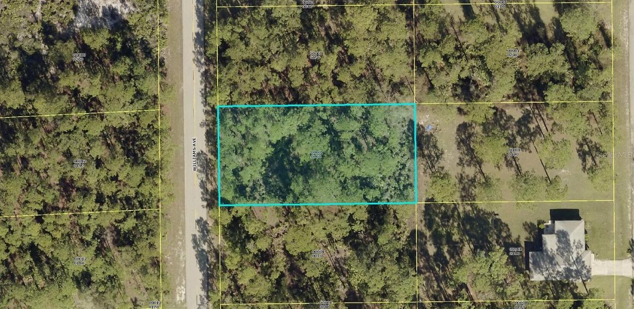 1612 Williams Ave., Lehigh Acres, FL 33972