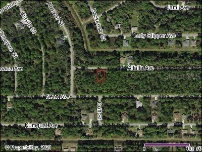 Alfalfa Ave., North Port, FL 34291