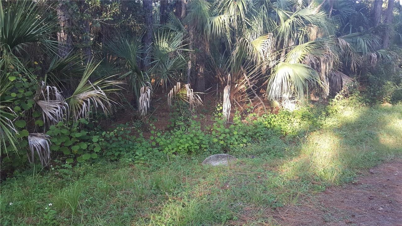 Boyd Ave., North Port, FL 34286
