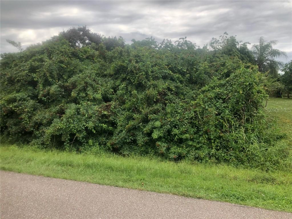 1347 Ramsdel St., Port Charlotte, FL 33952