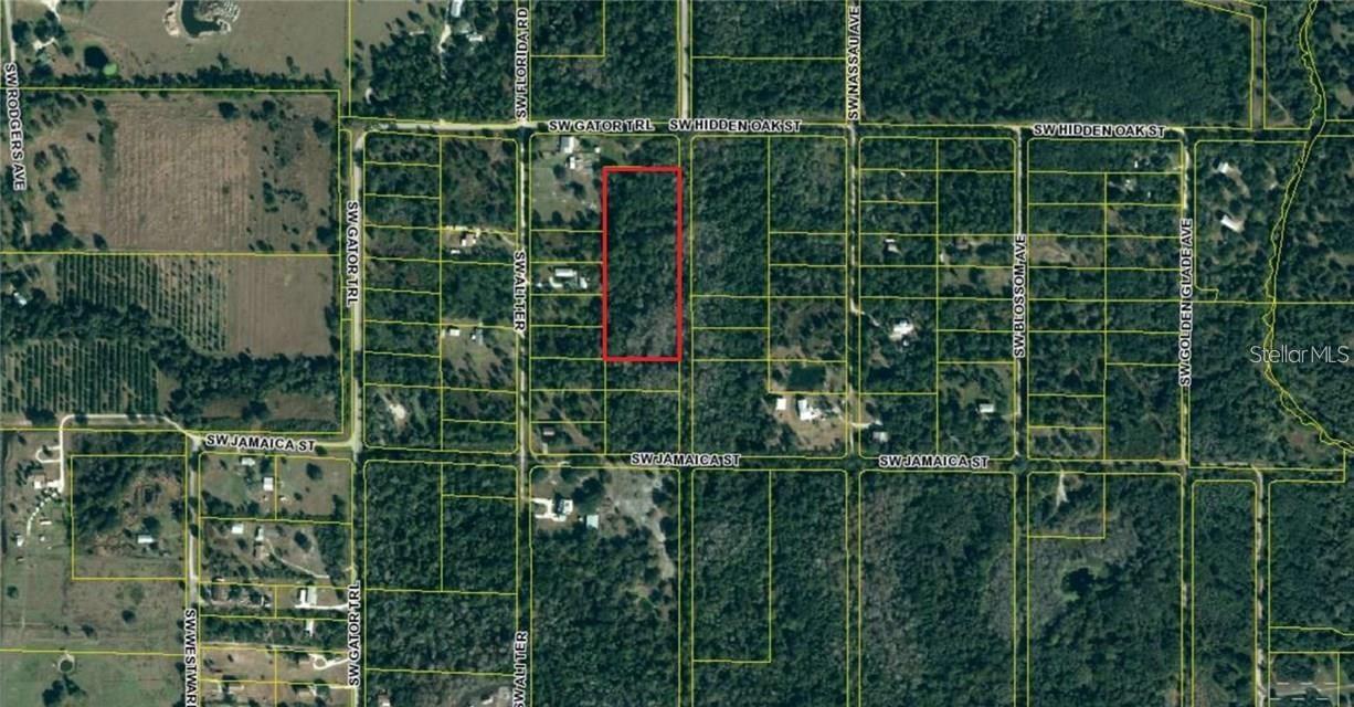 Ali Ter., Arcadia, FL 34266