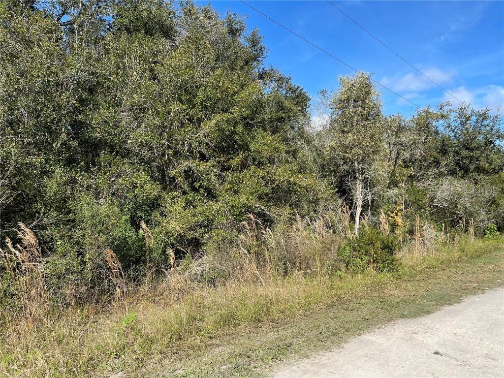 4951 SE Barley Ave., Arcadia, FL 34266