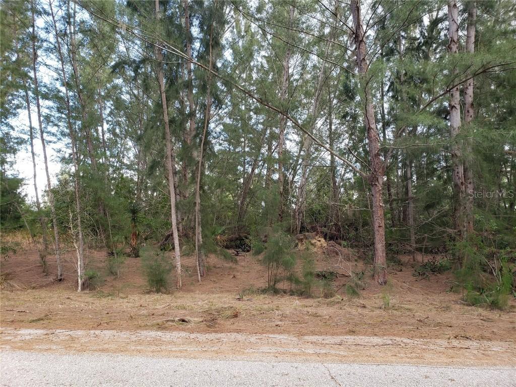 16232 La Barge Cir., Port Charlotte, FL 33981