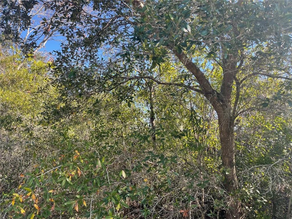 4922 SE Barley Ave., Arcadia, FL 34266