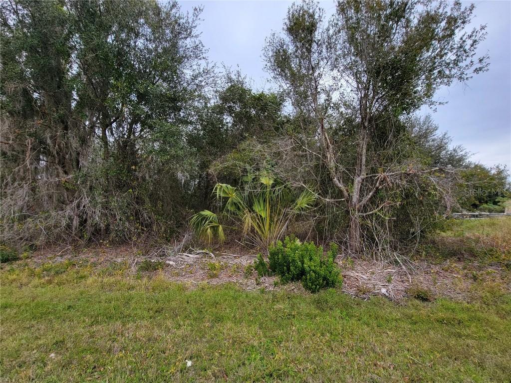 29366 Lillis St., Punta Gorda, FL 33982