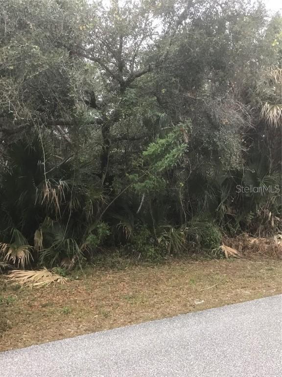 57 Flamingo Blvd., Port Charlotte, FL 33954