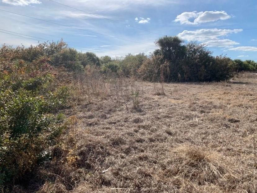 399 Theresa Blvd., Port Charlotte, FL 33954