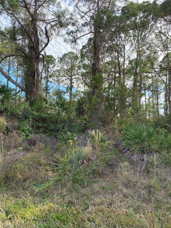 2633 Jacobs St., Port Charlotte, FL 33953