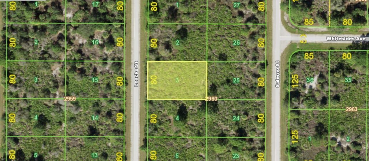 2332 Loucks St., Port Charlotte, FL 33953