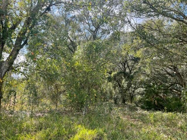 4279 SE Hwy 31, Arcadia, FL 34266