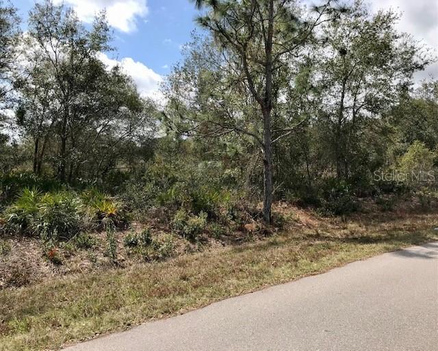 309 Astor Cir., Punta Gorda, FL 33982