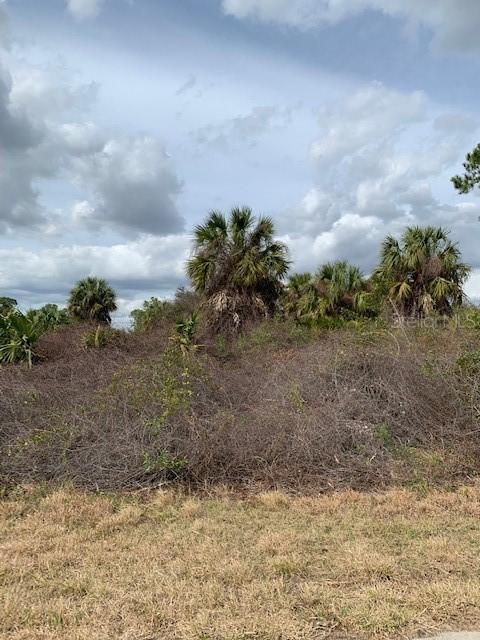 Bannock And Belcher, North Port, FL 34288