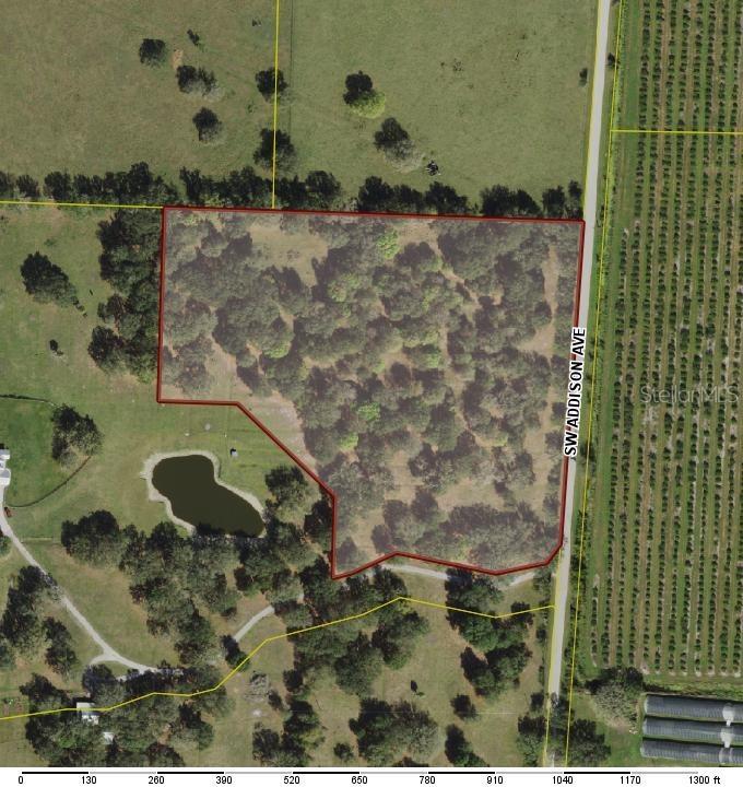 SW Addison Ave., Arcadia, FL 34266