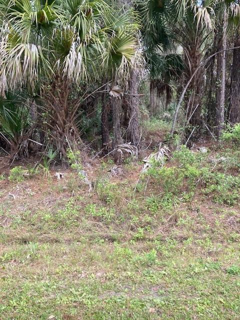 lot 8 and lot 9 Vilano Ave., North Port, FL 34286
