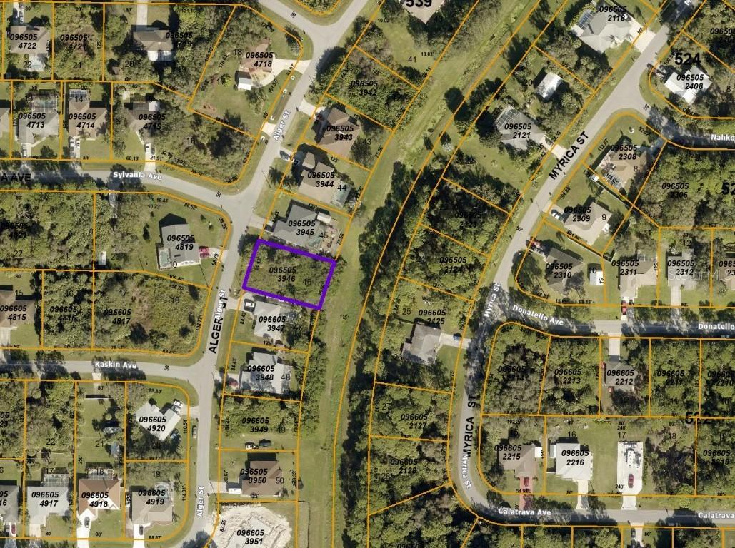 Alger Street, North Port, FL 34286