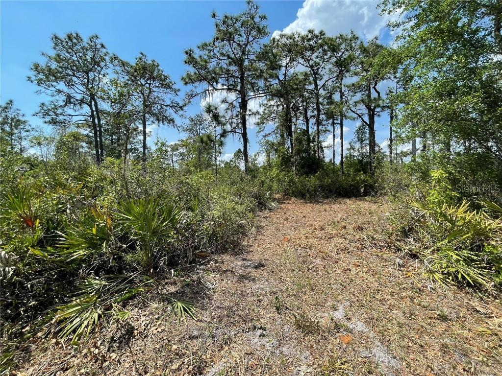 Wrights Ln, Lake Wales, FL 33898