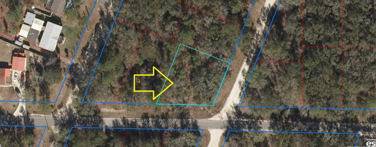 TBD NE 7th Pl., Williston, FL 32696
