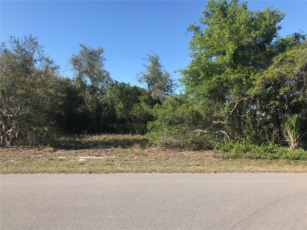 29096 Valencia Avenue, Punta Gorda, FL 33982