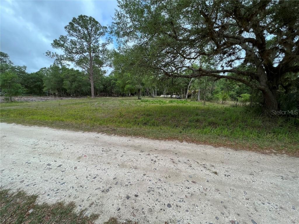 SW Blossom Ave., Arcadia, FL 34266