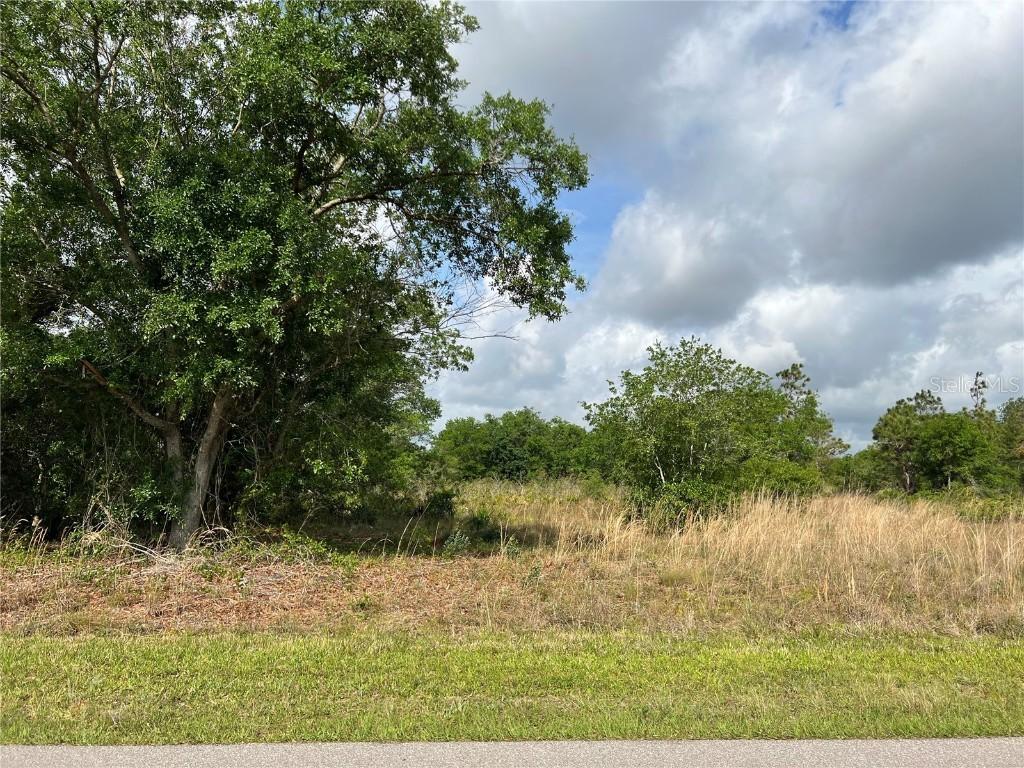 341 Astor Cir., Punta Gorda, FL 33982