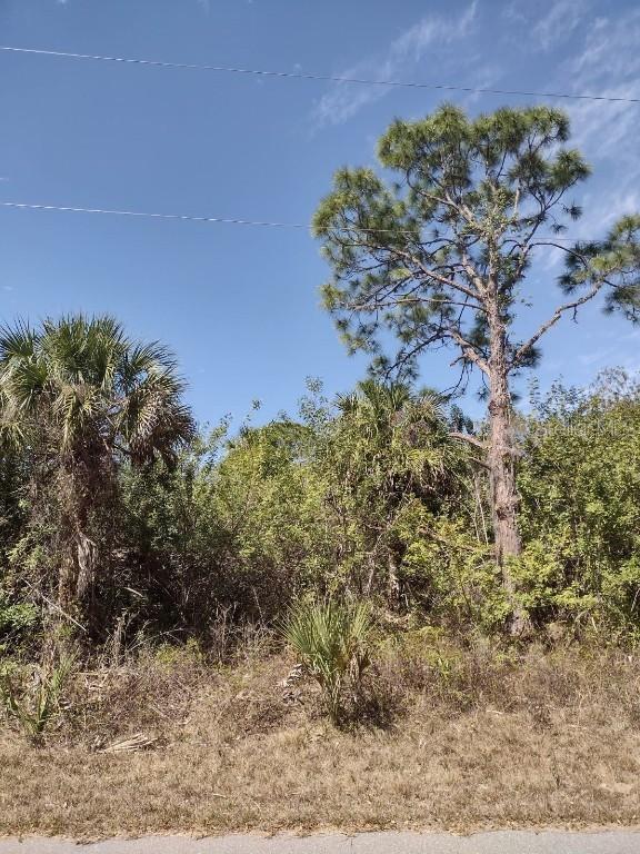 1455 Clearview Dr., Port Charlotte, FL 33953