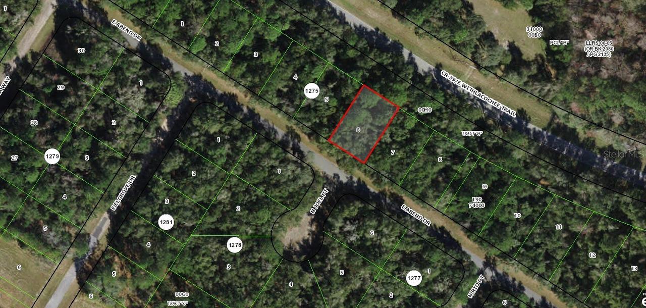 809 E Abend Dr., Citrus Springs, FL 34434