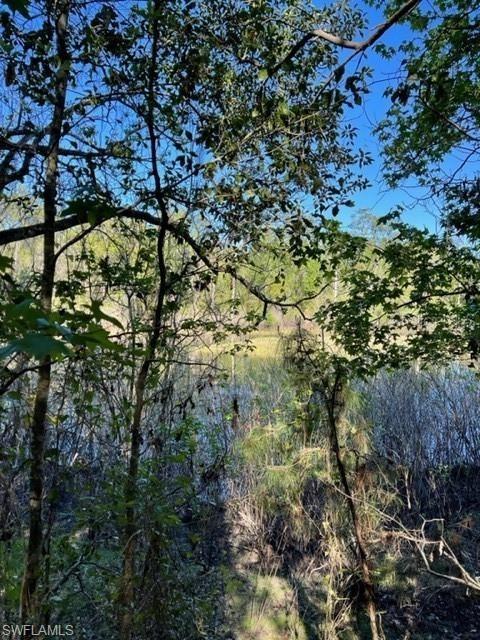 6202 Neff Lake Rd., Brooksville, FL 34602
