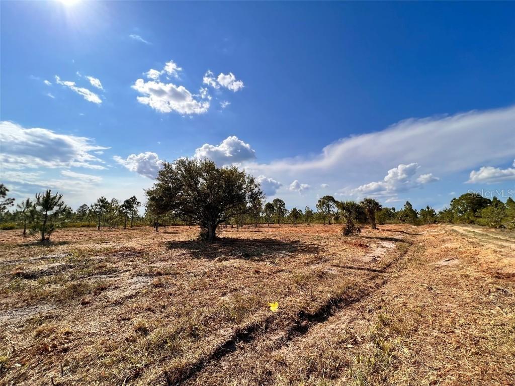 50522 Bermont Rd., Punta Gorda, FL 33982