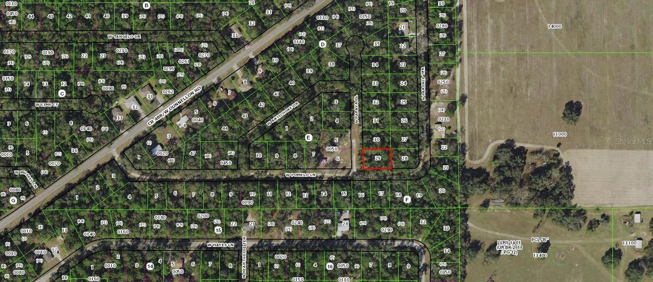 8793 N Papaya Ter., Crystal River, FL 34428