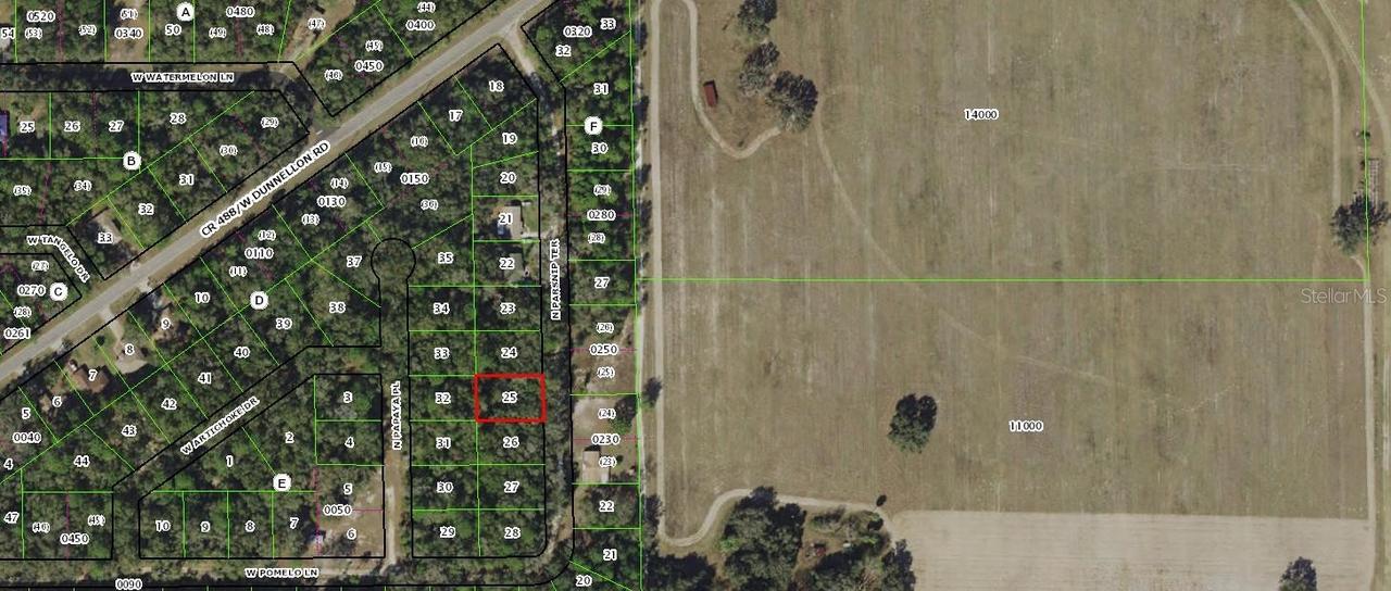 8838 N Parsnip Ter., Crystal River, FL 34428