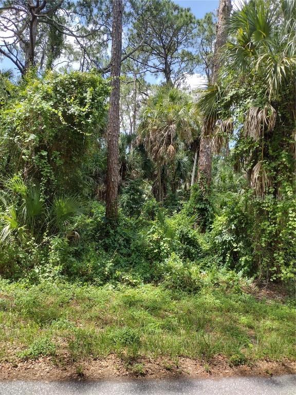 Lavender Ave., North Port, FL 34288