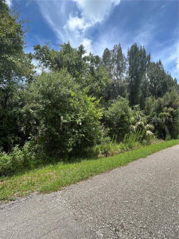 2131 SW Poinsettia Ave., Arcadia, FL 34266