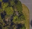 23279 Mcqueeney Ave., Port Charlotte, FL 33980