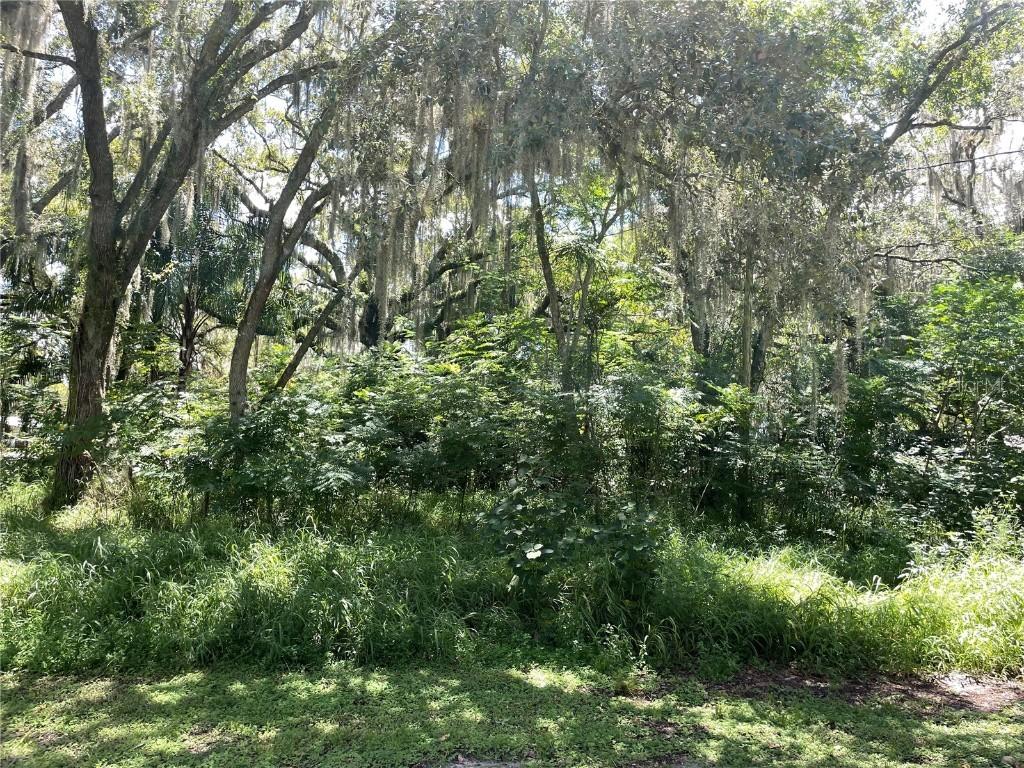 1587 SW Price Child St., Arcadia, FL 34266