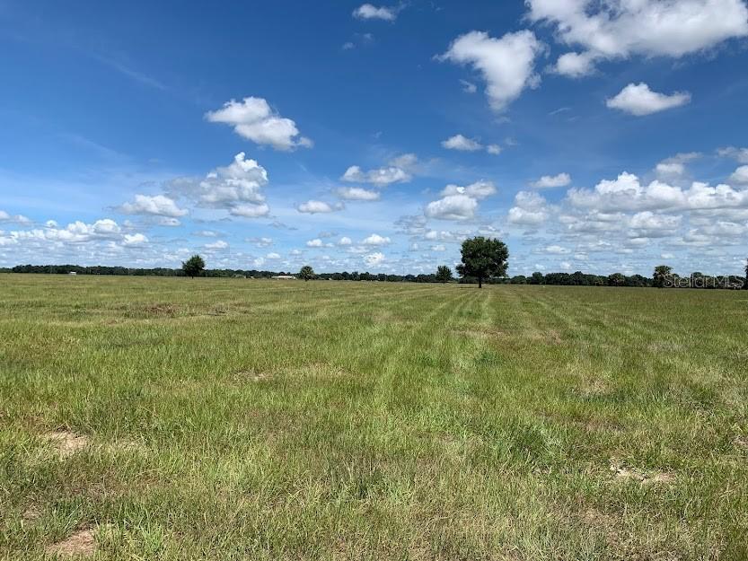 NW Co Road 661, Arcadia, FL 34266
