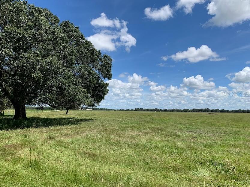 NW Co Road 661, Arcadia, FL 34266