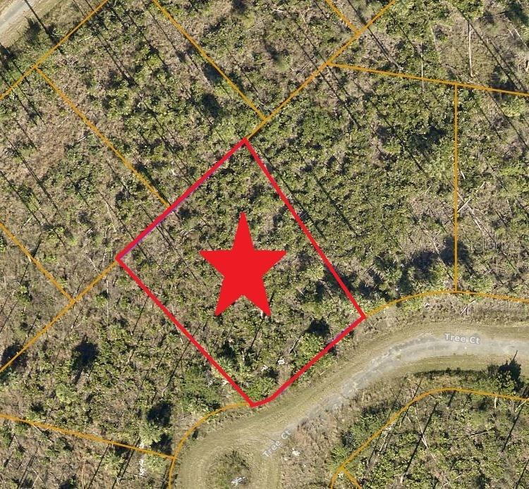 Lot 19 Tree Ct., North Port, FL 34288