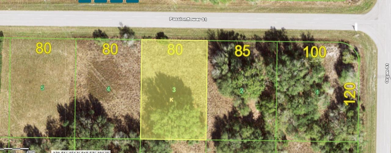 29465 Passion Flower St., Punta Gorda, FL 33982