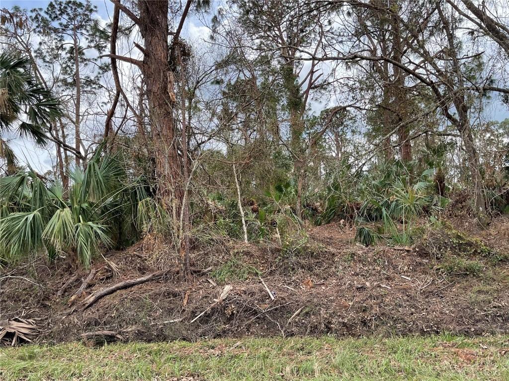 Bellafonte Ave., North Port, FL 34286