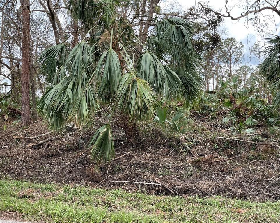 Bellefonte Ave., North Port, FL 34286